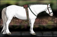Horse Color:Liver Chestnut Sabino Appaloosa 