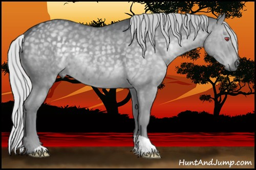 Horse Color:Silver Black Chinchilla 