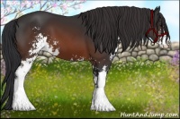 Horse Color:Brown Sabino