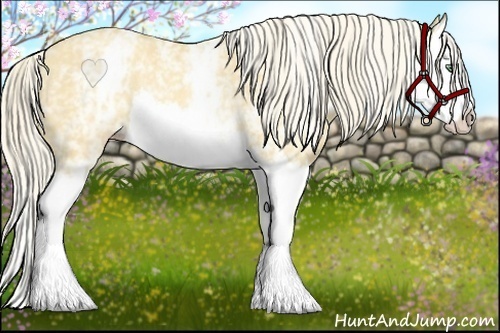 Horse Color:White Spotted Gold Cream Champagne Splash Rabicano