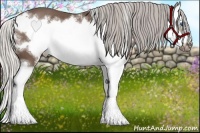 Horse Color:White Spotted Silver Black Splash Frame 