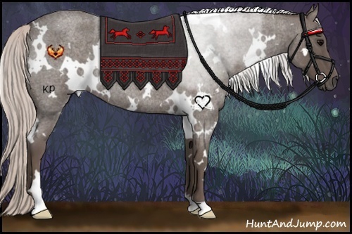 Horse Color:White Spotted Silver Blue Roan Rabicano