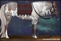 Horse Color:White Spotted Silver Blue Roan Rabicano