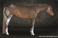 Horse Color:White Spotted Liver Chestnut 