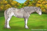 Horse Color:Silver Black Ice Sabino Rabicano 