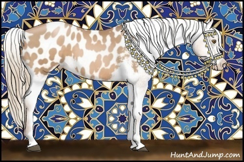 Horse Color:Liver Chestnut Pearl Sabino Appaloosa 