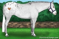Horse Color:Silver Black Chinchilla Blanket
