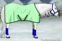 Horse Color:Liver Chestnut Appaloosa