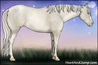 Horse Color:Chocolate Palomino Pearl