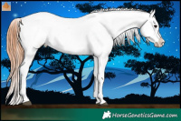Horse Color:Grullo Splash Tobiano Blanket 