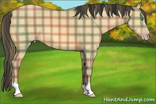 Horse Color:Plaid  Amber Cream Champagne 