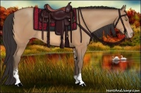 Horse Color:Amber Champagne Sabino 