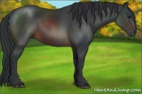 Horse Color:Brown Rabicano 