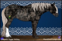 Horse Color:Silver Grullo Ice Rabicano