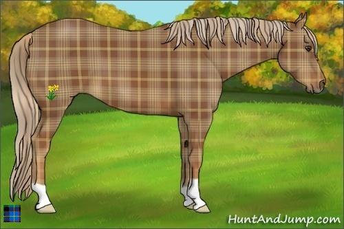 Horse Color:Plaid  Chestnut 