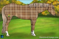 Horse Color:Plaid  Chestnut 