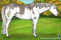 Horse Color:Silver Black Splash Rabicano 