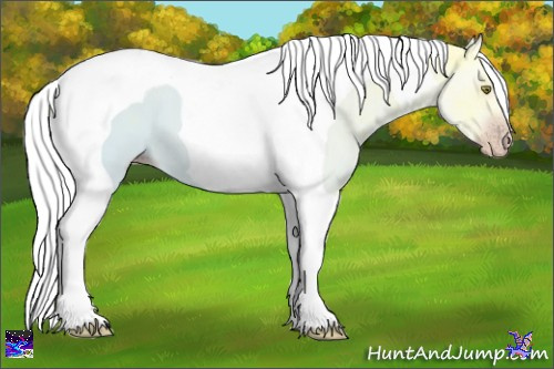 Horse Color:Gray Gold Champagne Ice Tobiano 