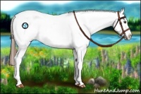 Horse Color:Chestnut Ice Sabino Tobiano Appaloosa