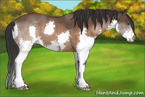 Horse Color:Brown Splash