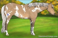 Horse Color:White Spotted Silver Buckskin 