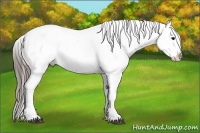 Horse Color:Black Mushroom Varnish 
