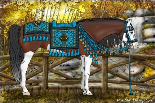 Horse Color:Bay Splash 