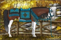 Horse Color:Bay Splash 