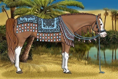 Horse Color:Chestnut Splash