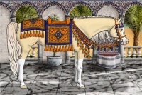 Horse Color:Gold Cream Champagne Dun Splash 