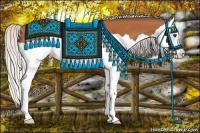 Horse Color:Silver Bay Splash 