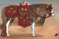 Horse Color:White Spotted Liver Chestnut Sabino 