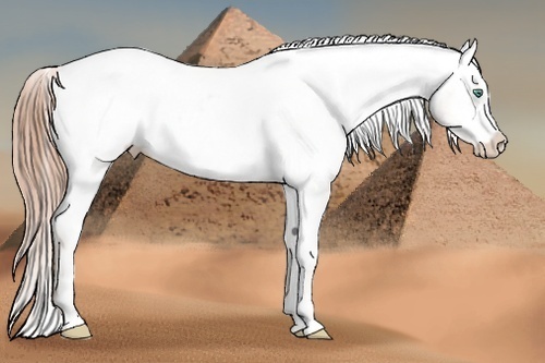 Horse Color:Smoky Black Pearl Sabino Varnish Rabicano