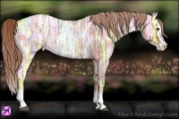 Horse Color:Red Ice Roan Splash