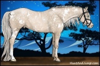 Horse Color:White Spotted Chocolate Palomino Ice Pearl