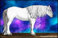 Horse Color:White Spotted Bay Tobiano Frame Appaloosa Rabicano