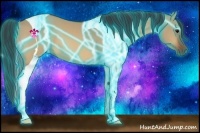 Horse Color:Thunderstruck Bay Dun Tobiano 