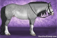 Horse Color:Sable Champagne Chinchilla 