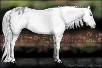 Horse Color:Brown Chinchilla Roan Varnish