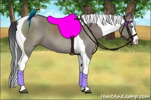 Horse Color:Grullo Splash Tobiano 