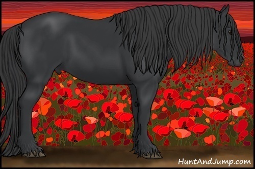 Horse Color:Black 