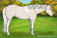 Horse Color:Silver Smoky Creme Tobiano 