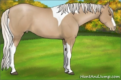 Horse Color:Silver Black Pearl Tobiano 