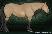 Horse Color:Buckskin Dun Rabicano