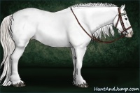 Horse Color:White Spotted Silver Black Tobiano Appaloosa Rabicano 