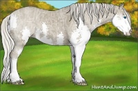 Horse Color:Silver Smoky Grullo Ice Roan Splash 