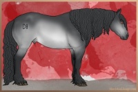 Horse Color:Brown Chinchilla