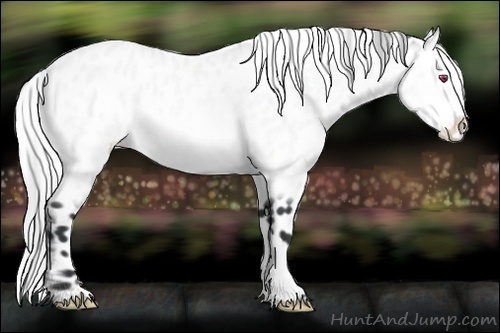Horse Color:Silver Bay Chinchilla Leopard