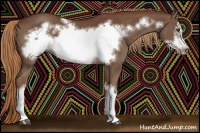 Horse Color:Chestnut Frame