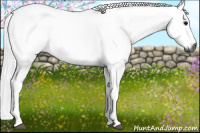 Horse Color:Gray Black 